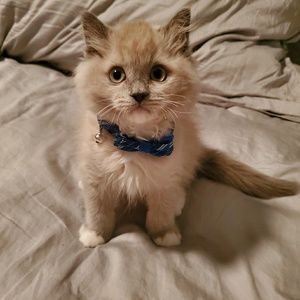 Meet your Posher, Evelyn